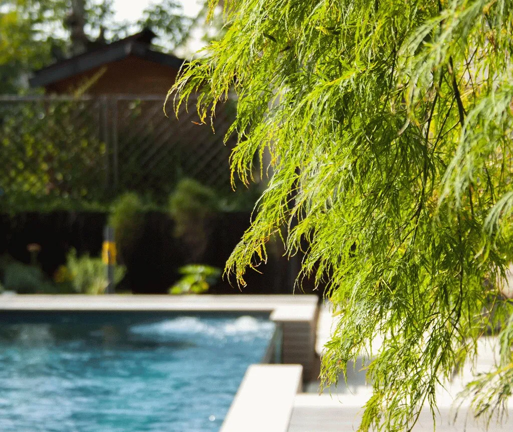Poolrand mit hängender Weide und Holzdeck in Villingen-Schwenningen
