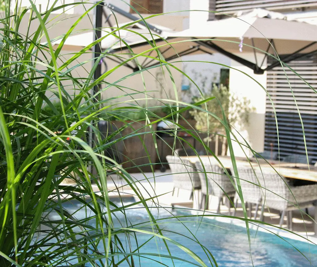 Ziergräser und Sonnenschirm am Poolrand in Villingen-Schwenningen