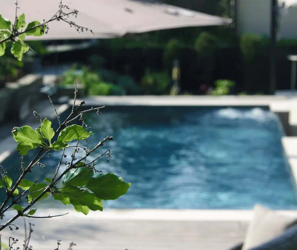 Pool im Gegenlicht, durch Blätter gesehen in Villingen-Schwenningen