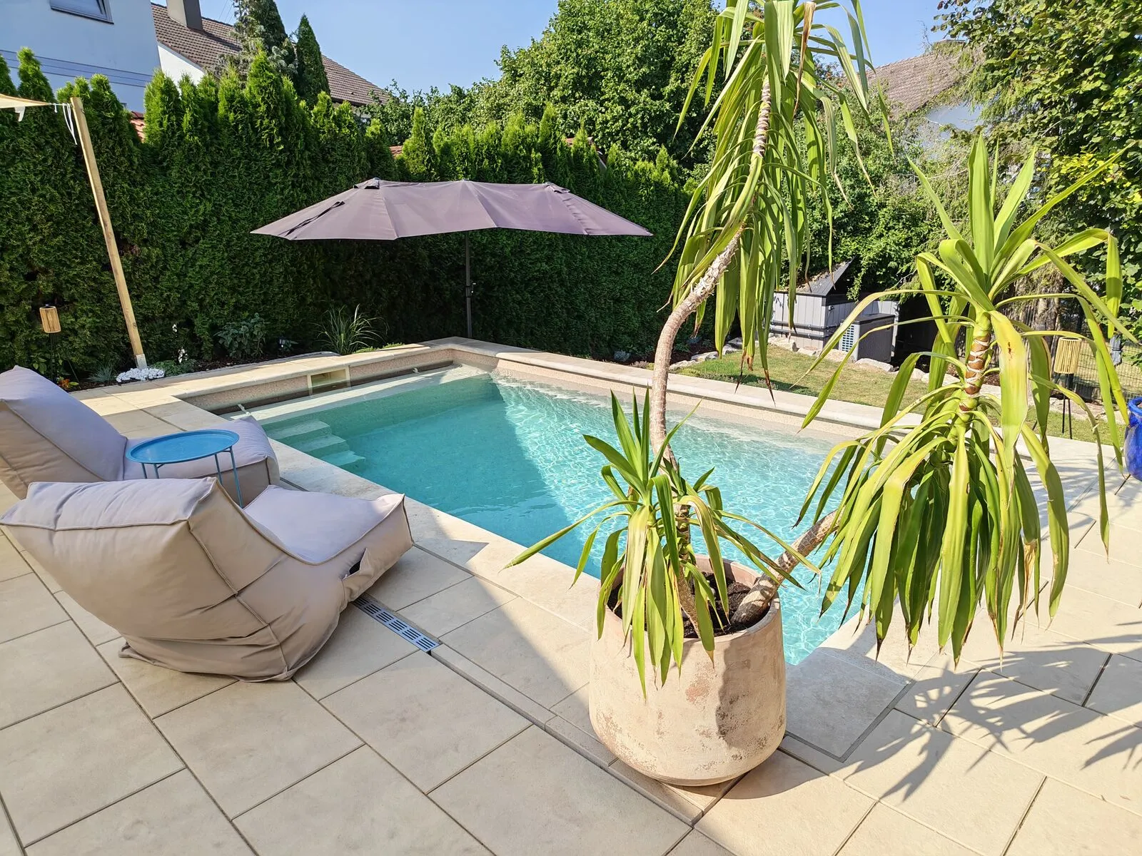 Zitronenbaum am Rand des Pools in Villingen-Schwenningen