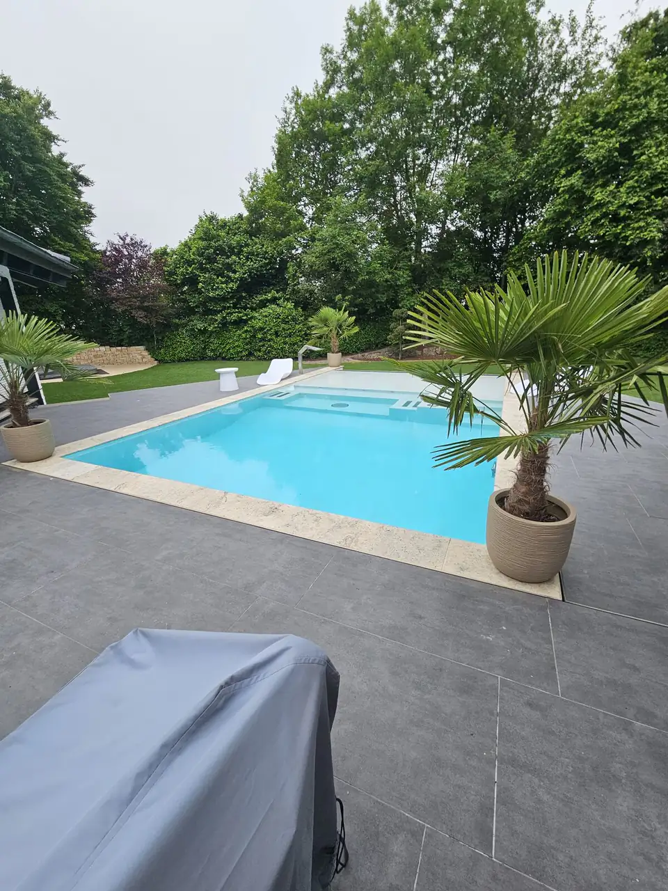 Pool mit Travertin-Einfassung und Palme im Pflanzkübel in Villingen-Schwenningen