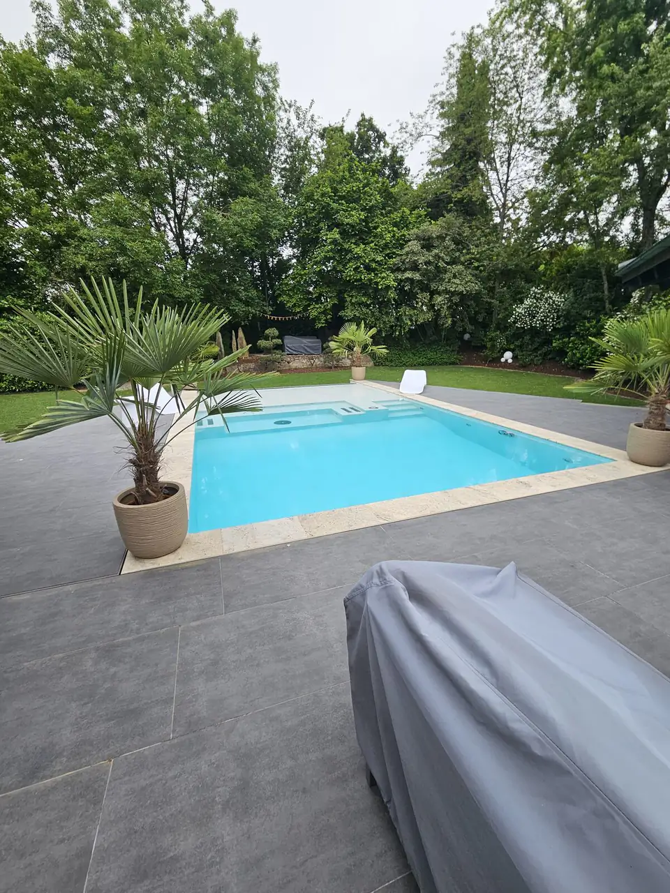 Blick über die Großformat-Terrasse auf den Pool mit zwei Palmen in Villingen-Schwenningen